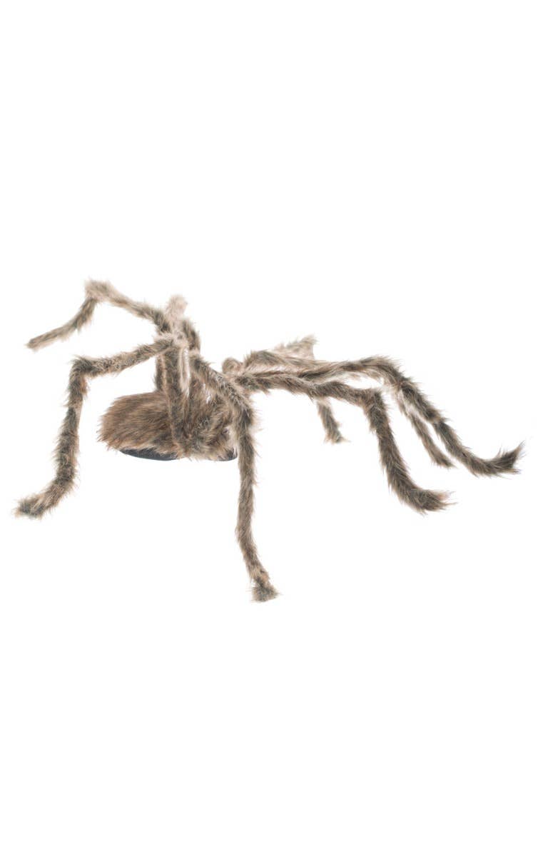 Jumbo Light Brown Spider Halloween Decoration Alternate Image 3