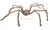 Jumbo Light Brown Spider Halloween Decoration Main Image