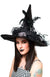 Black Halloween Women's Witch Hat With Silver Flowers and Black Feathers Costume Accessory Main Image