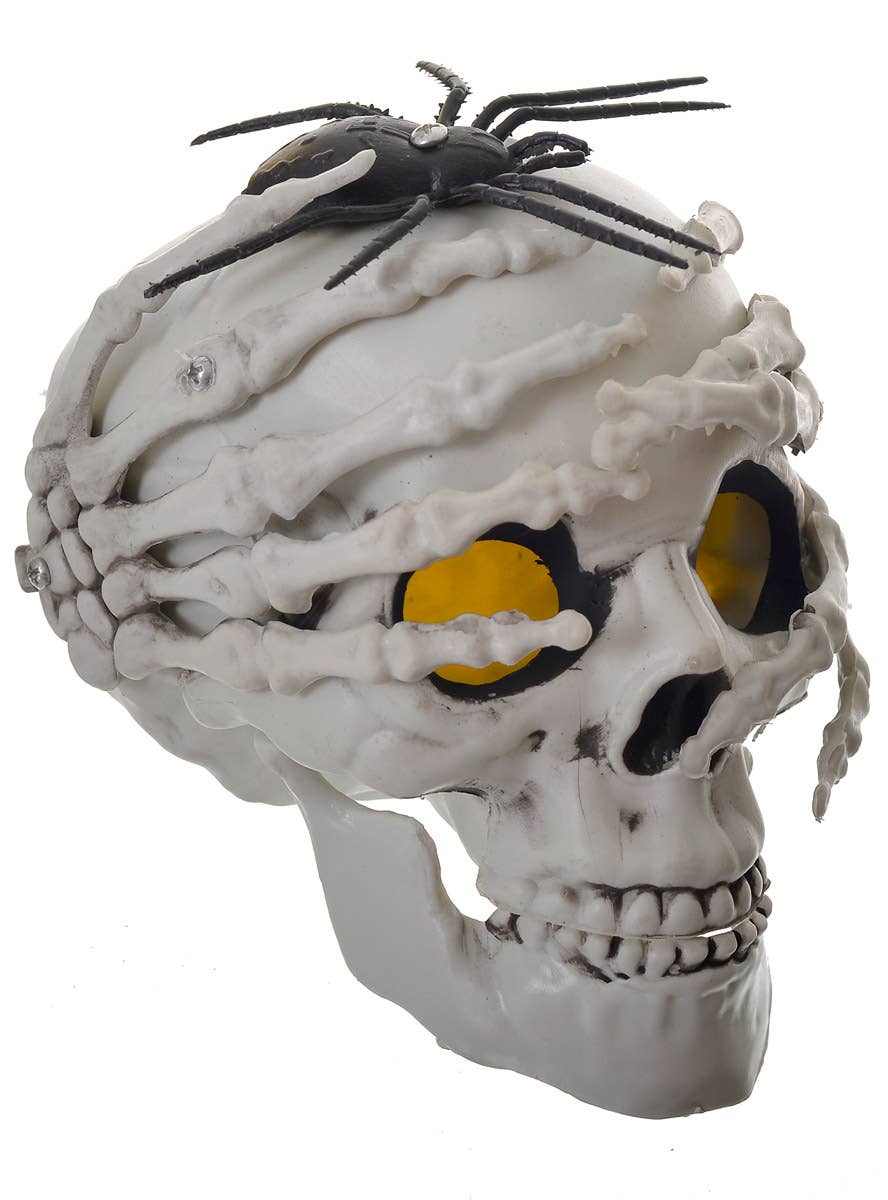 Life Size Fake Skull Head with Skeleton Hands and Fake Spider