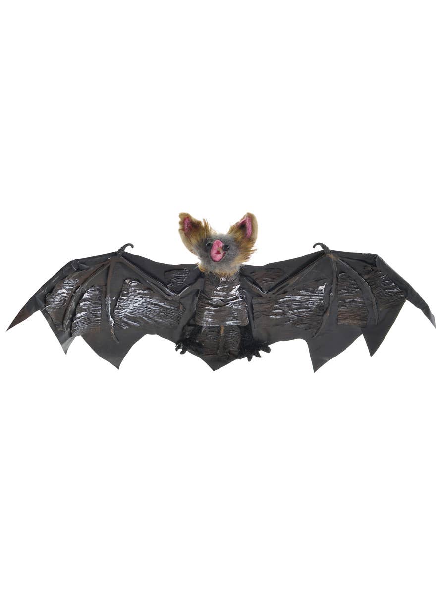 Hanging Black and Brown 30cm Vampire Bat Halloween Decoration - Main Image