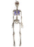 Light Up 80cm Hanging Skeleton Halloween Decoration - Main Image