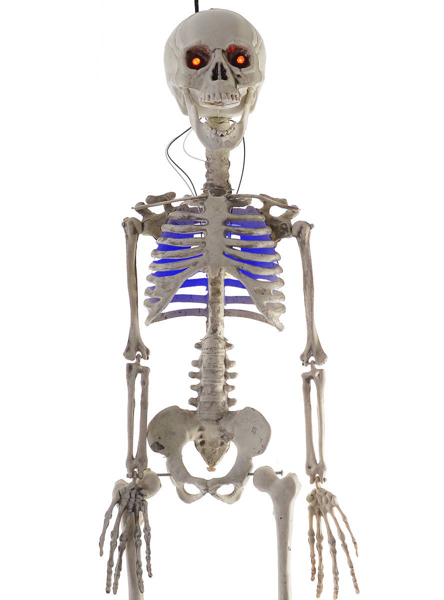 Light Up 80cm Hanging Skeleton Halloween Decoration - Close Up