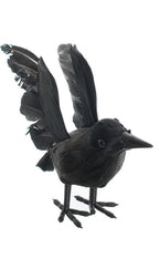 Little Baby Raven Halloween Horror Decoration Party Accessory Main Image