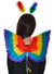 Mini Rainbow Feather Mardi Gras Costume Accessory Wings Back Image