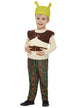 Toddler Boy's Shrek Movie Character Costume - Main Image