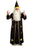 Starry Black Potion Master Wizard Costume for Plus Size Men - Main Image