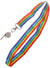 Image of Rainbow Striped Lanyard with Whistle Costume Accessory - Main Image