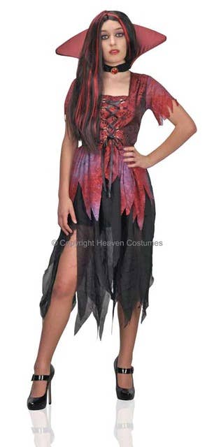 Women's Halloween Cinderella Fancy Dress Costume Alternate Image