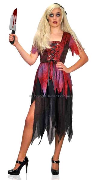 Women's Halloween Cinderella Fancy Dress Costume Main Image