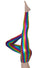 Image Of Metallic Rainbow Stripe Women's Costume Leggings